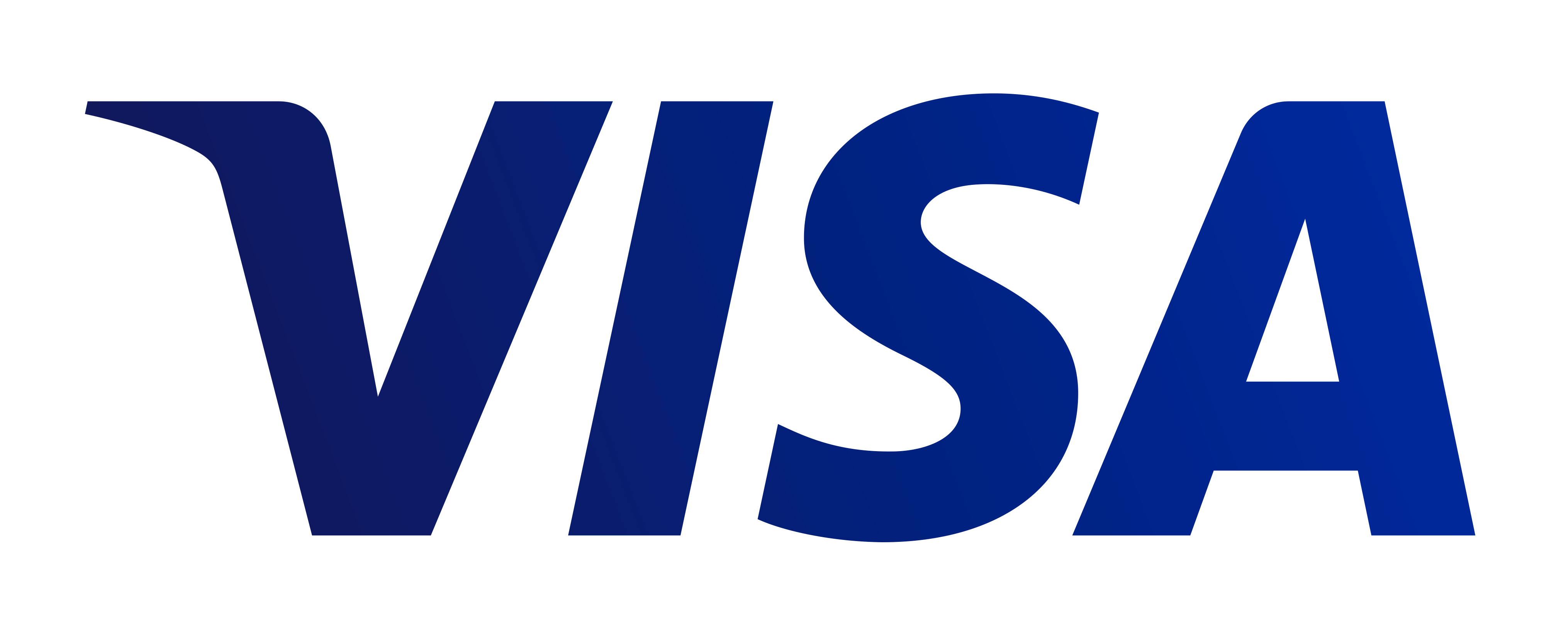 visa payment method icon